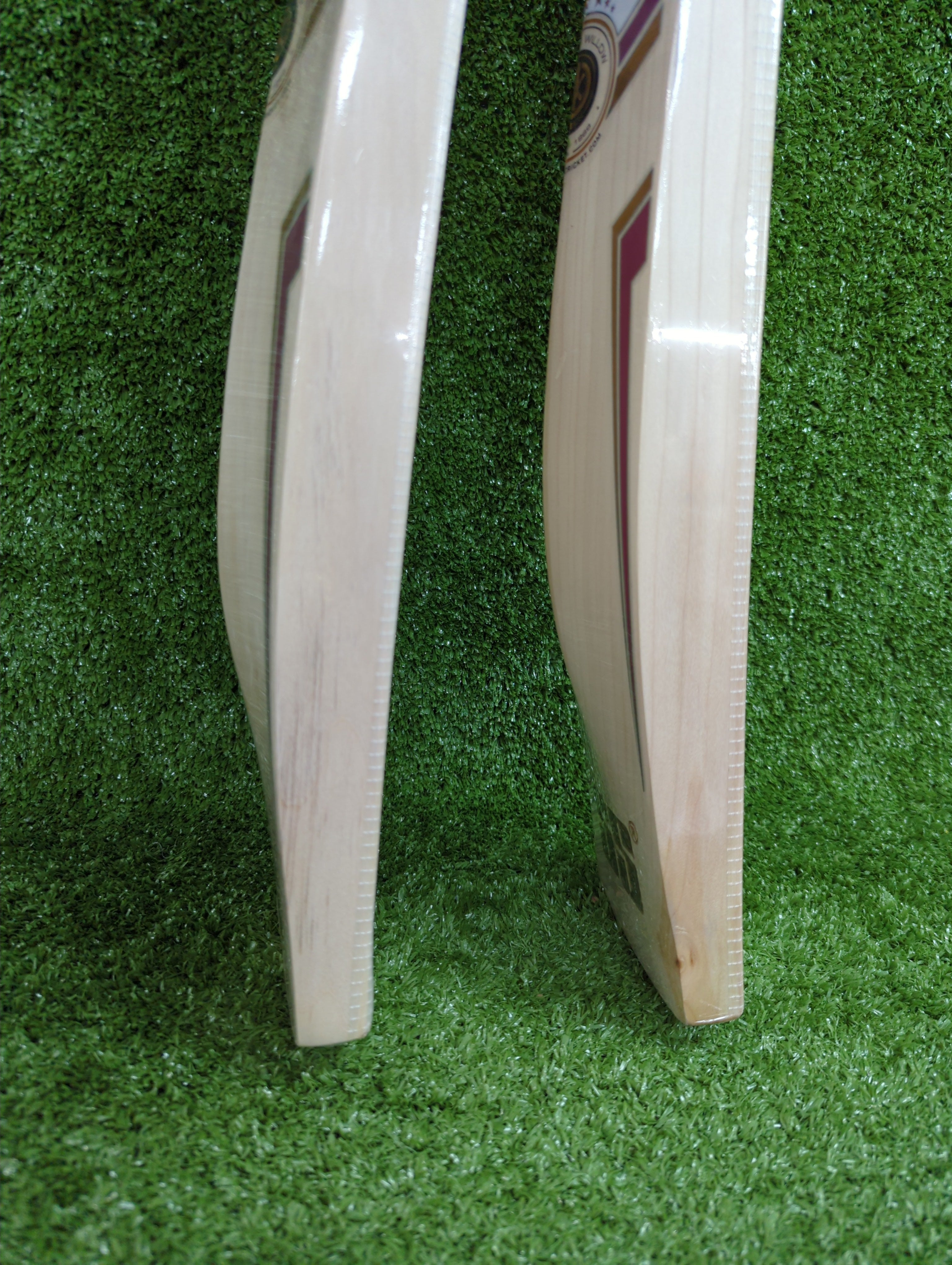 Premium SS Gladiator Kashmir Willow Cricket Bat - Lightweight & Durable for Professional & Casual Play - Perfect for Matches, Practice & Backyard Games