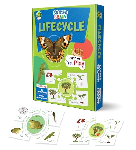 Life Cycle