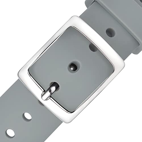 Light Gray/Silver Buckle