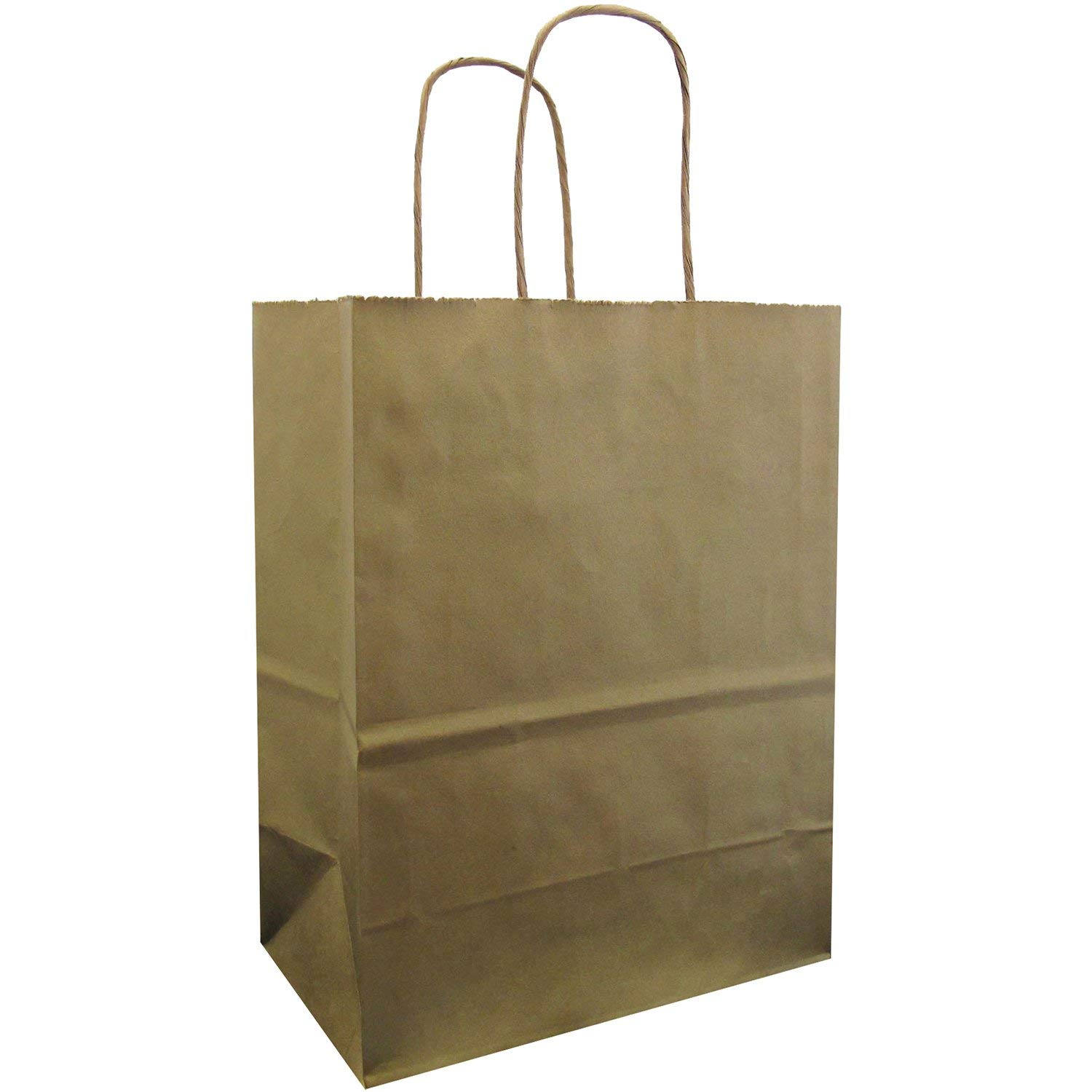 Premium Kraft Bags with Metallic Gold Finish - 100 Pack | Eco-Friendly Gift Bags for Parties, Weddings & Retail Packaging | Jillson & Roberts Medium Size Paper Bags