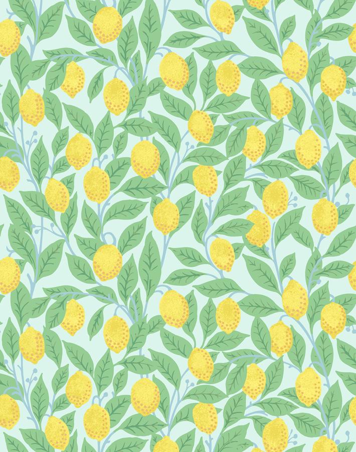 Nathan Turner Robins Egg Wallpaper - Premium Peel & Stick Removable Wallpaper for Kitchen, Bathroom, Nursery & Home Decor