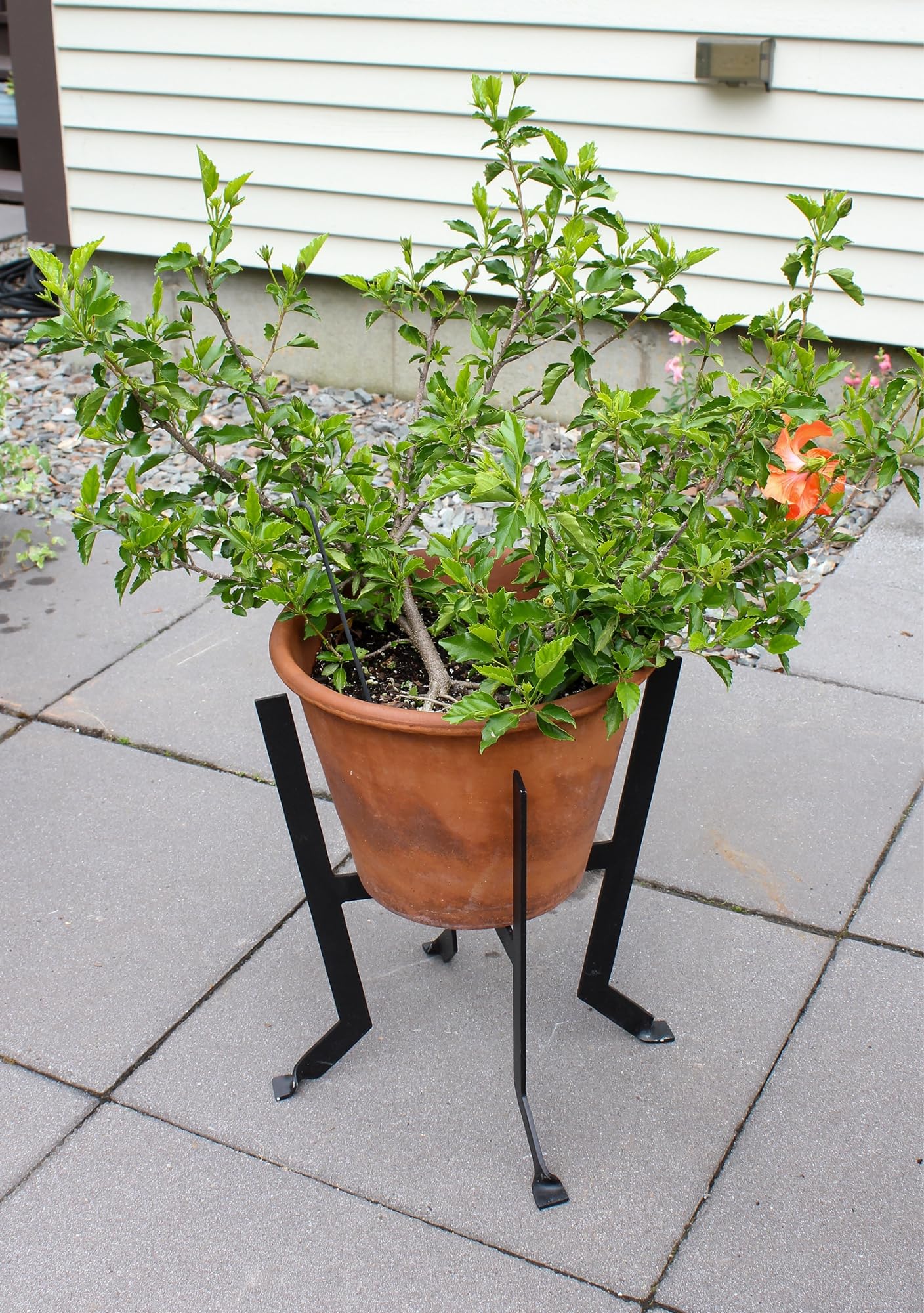 Achla Designs FB-60 Denise III Black Metal Plant Stand - Indoor/Outdoor Flower Pot Holder for Home Garden Decor