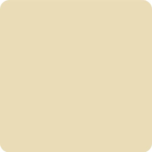 Modern Cream