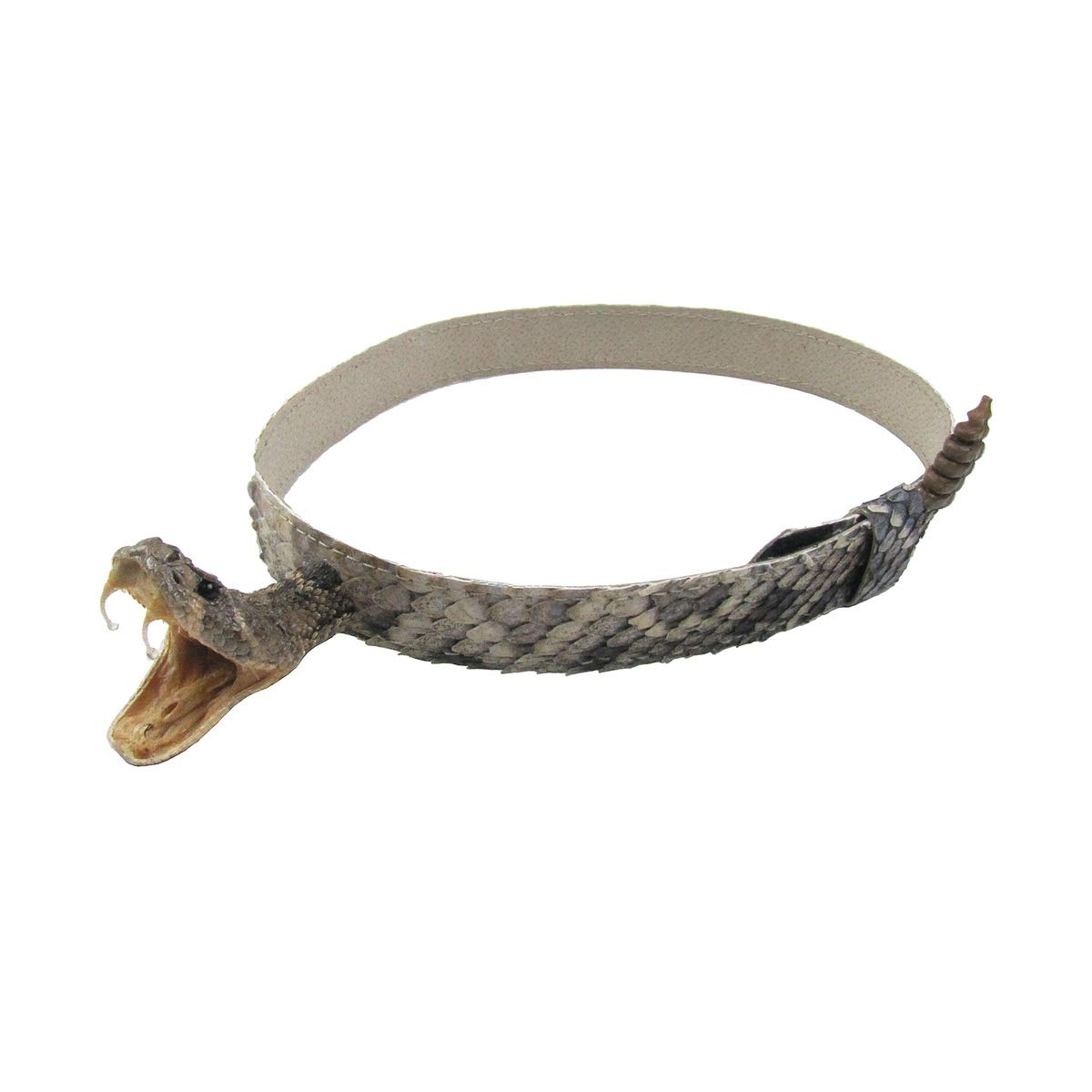 Genuine Eastern Diamondback Rattlesnake Cowboy Hat Band - Real Snakeskin Western Accessory for Cowboy Hats, Rodeo Events & Country Style Fashion