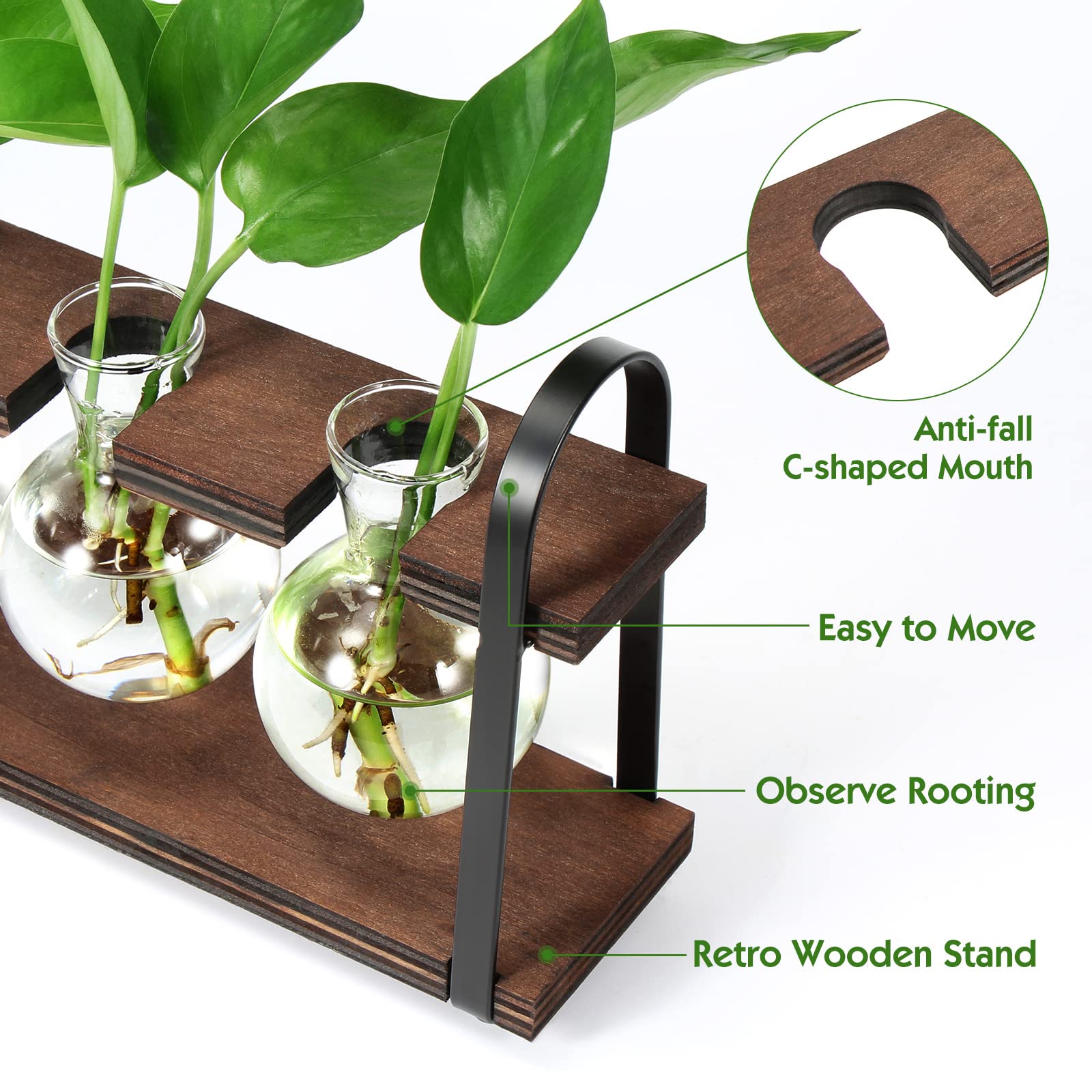 THYGIFTREE Plant Propagation Stations with Wooden Stand - Retro Glass Terrarium Bulb Vase for Indoor Hydroponic Flowers | Desktop Planter for Home Office Decor, Housewarming Gift for Plant Lovers (Perfect for Windowsills, Desks & Shelf Displays)