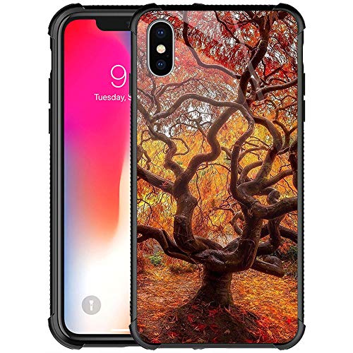 Autumn Trees
