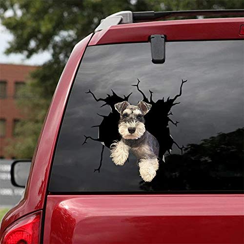 Schnauzer-01