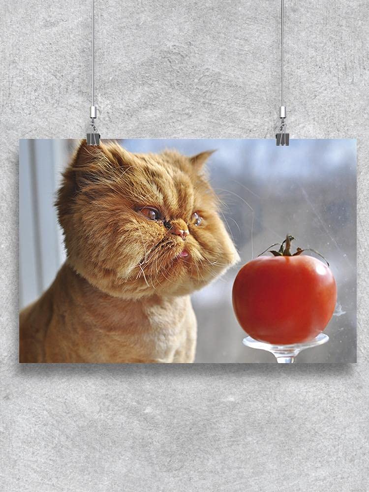Funny Cat and Red Tomato Poster - Cute Animal Wall Art for Home Decor, Living Room, Bedroom & Office - Perfect Gift for Cat Lovers