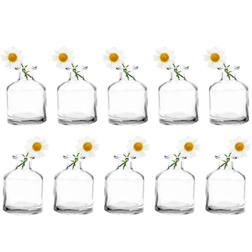 Short Clear Bottle