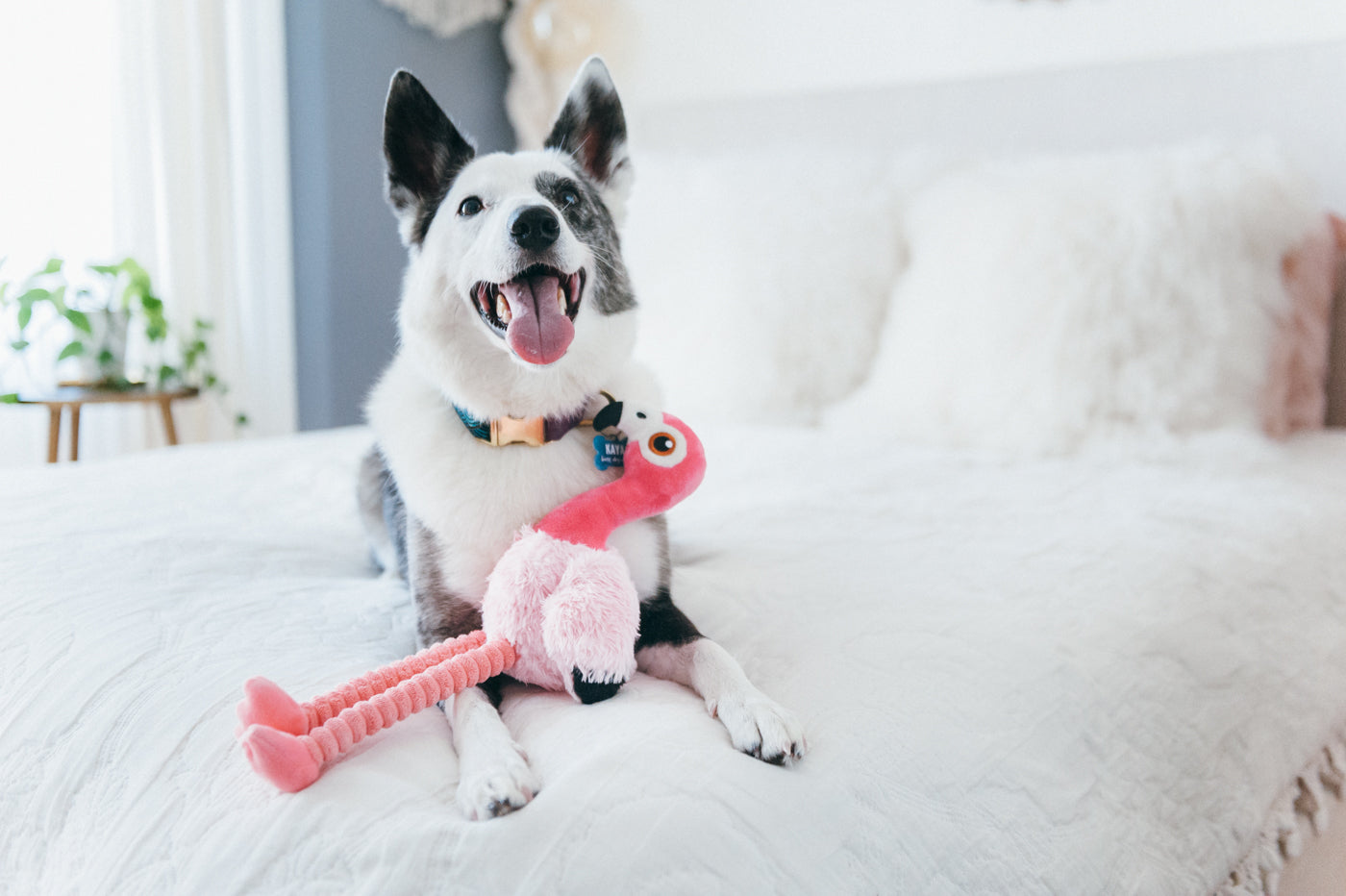 Flora the Flamingo Plush Dog Toy - Soft & Durable Fetching Flock™ Chew Toy for Small & Medium Dogs | Perfect for Playtime, Training & Cuddling | Pet P.L.A.Y.