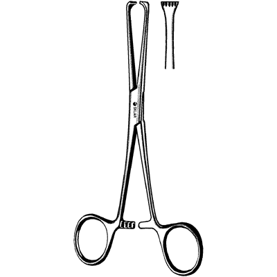 Boys Allis Tissue Forceps 6 36 1860 - Surgical Clamps for Pediatric Procedures, Wound Care & Medical Use