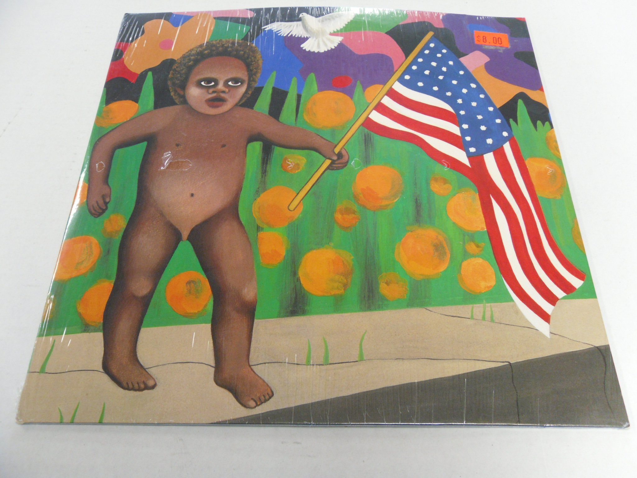 Premium American Vinyl Records - High-Quality Music Collection for Home, Parties & DJ Performances