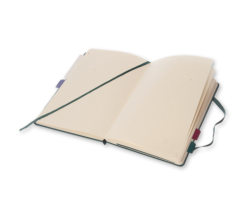 Premium Moleskine Professional Notebook - Large (5