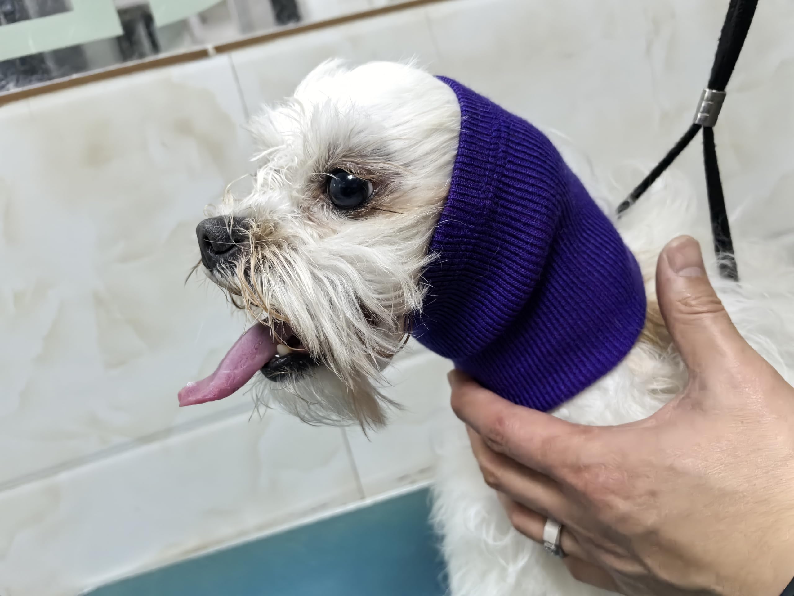 Noise Cancelling Dog Ear Covers & Neck Protector - Soft Pet Snood Wrap for Grooming, Anxiety Relief & Travel - Purple (Perfect for Grooming, Fireworks & Vet Visits)