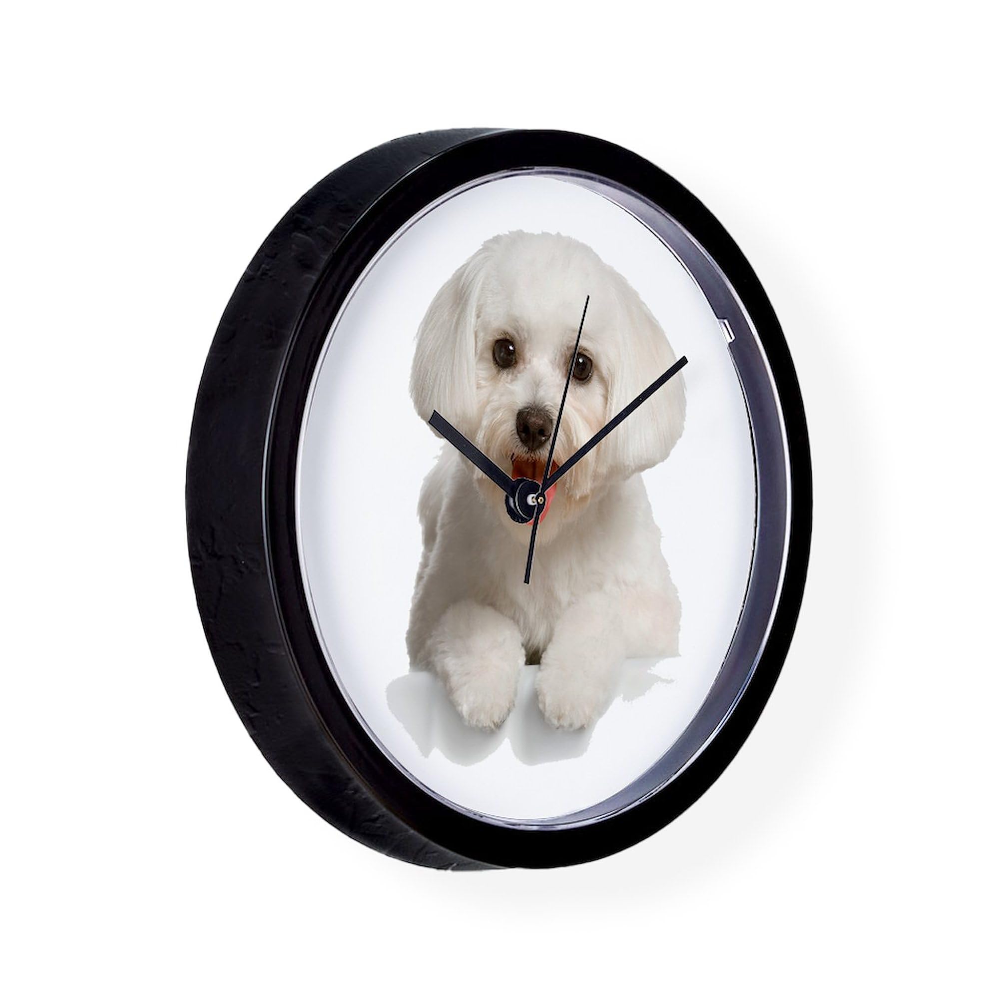 Bichon Frise 10 Inch Wall Clock - Decorative Round Silent Non-Ticking Clock for Living Room, Kitchen, Office, Bedroom & Home Decor - Perfect Gift for Dog Lovers & Pet Owners