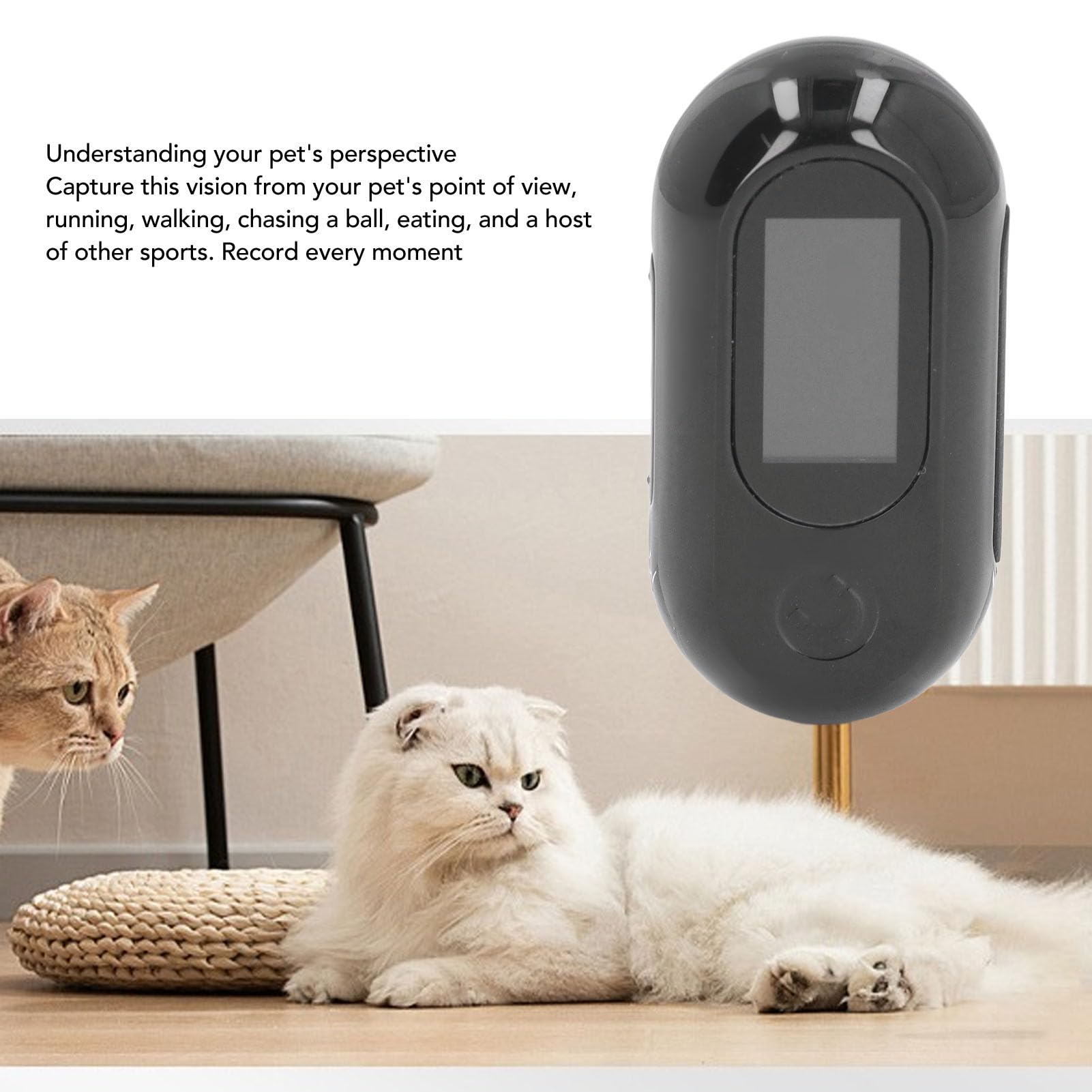 **Dog Collar Camera - 1080P HD Video & 4K Photo, 170° Wide Angle Pet Action Camera for Outdoor Adventures - Perfect for Hiking, Running & Training with Dogs & Cats**