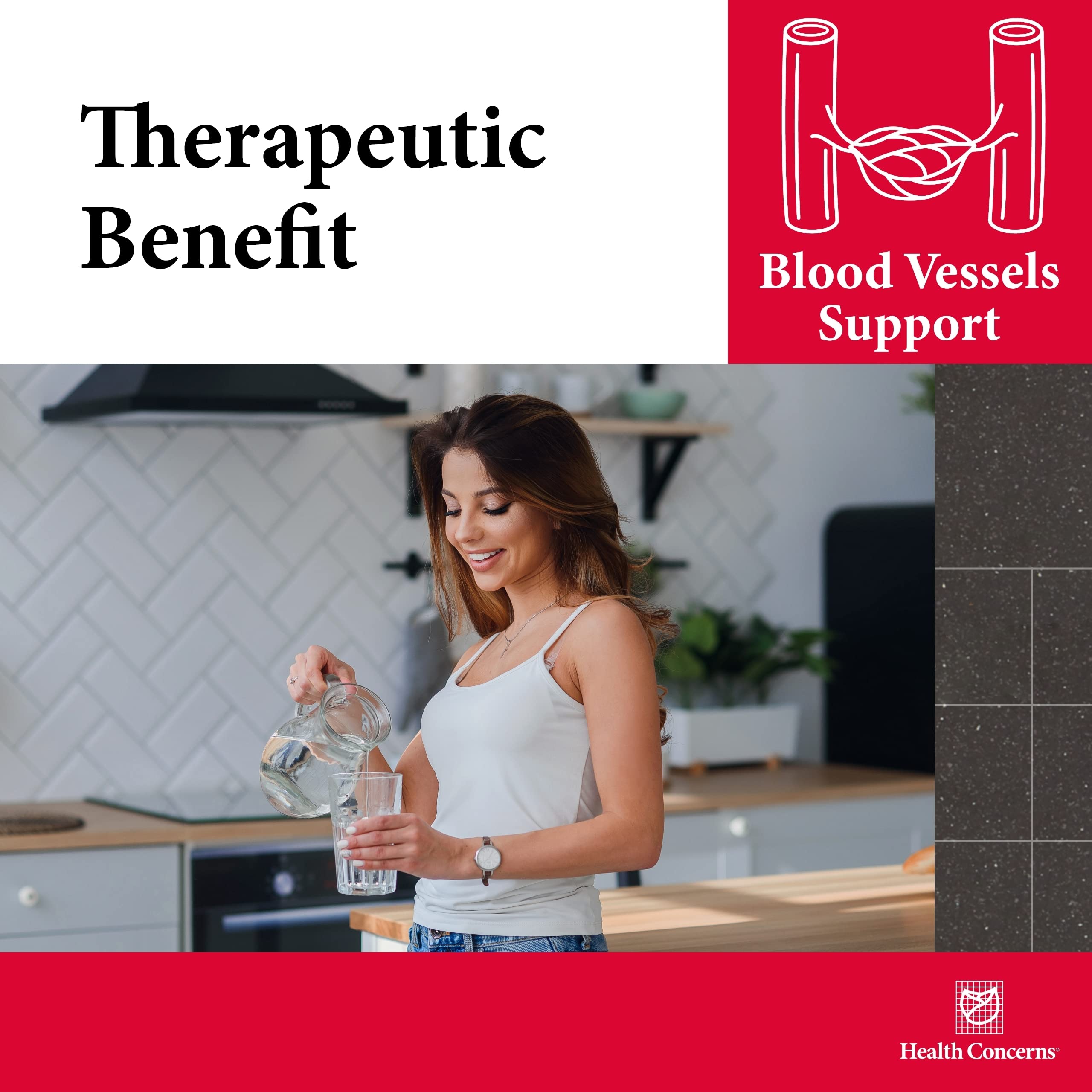 Health Concerns Formula H - Blood Circulation Support Supplements - 90 Capsules for Improved Cardiovascular Health & Energy Boost | Doctor Recommended Circulation Pills for Leg Cramps, Cold Hands & Feet Relief