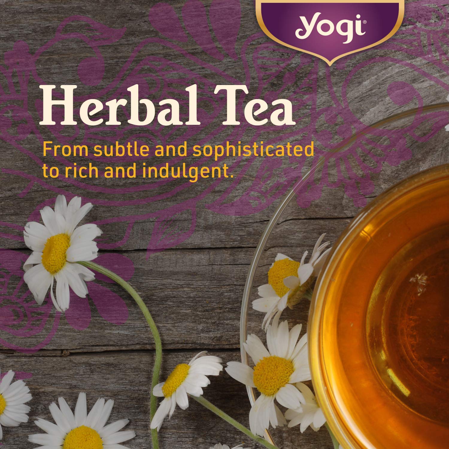 Organic Yogi Cold Season Tea - 6 Pack (16 Tea Bags Each) | Herbal Respiratory Support with Ginger, Cardamom & Eucalyptus | Immune Boost for Winter & Flu Season | Perfect for Cold Weather & Wellness Rituals