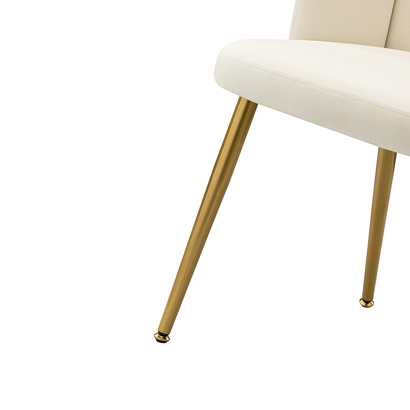 Elodia Side Chair - Modern Accent Chair for Dining Room, Living Room & Office - Sturdy Wooden Frame with Upholstered Seat - Perfect for Home Decor & Small Spaces