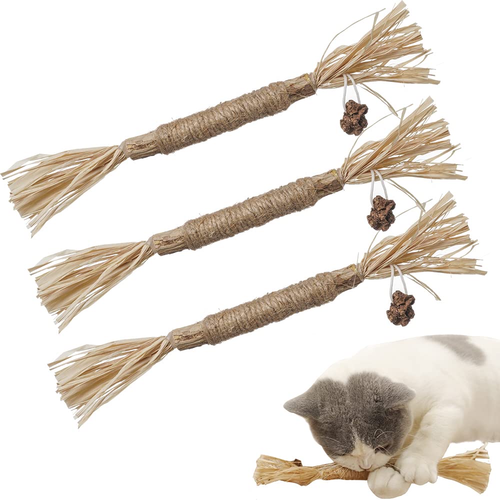 PAZ'S GIFT Natural Catnip Toys for Kittens - 3 Pack Silvervine Sticks with Raffia for Teeth Cleaning, Interactive Play & Dental Care - Perfect Indoor Cat Chew Toys for Teething, Kicking & Stress Relief