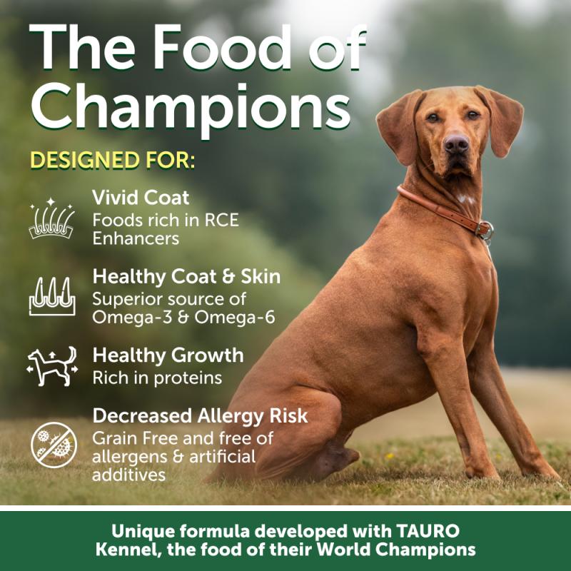 Premium Salmon Dog Food for Small Breed Puppies - Supports Healthy Red Coat & Growth - Perfect for Training & Daily Feeding