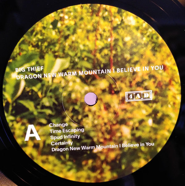 Big Thief - Dragon New Warm Mountain I Believe In You (2xLP Vinyl Record Album, Reissue, Mint Condition) - Perfect for Vinyl Collectors & Indie Music Lovers