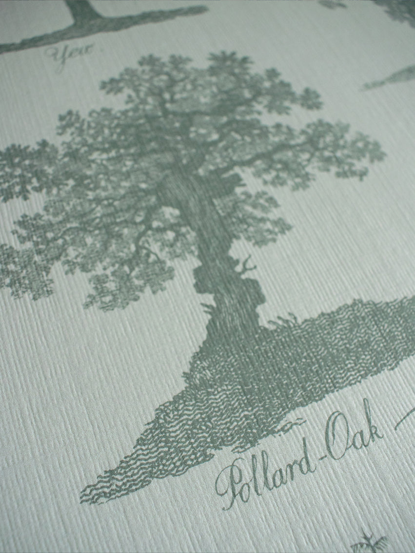 Arboreta Wallpaper - Premium Peel and Stick Wallpaper for Home Decor | Perfect for Living Room, Bedroom, and Nursery