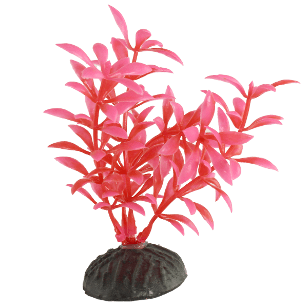 Pink Hygrophila Plastic Betta Fish Tank Plants (4 Pack) - Artificial Aquarium Decor for Betta Fish, Shrimp, and Tropical Tanks - Perfect for Enhancing Aquascape and Providing Hiding Spots