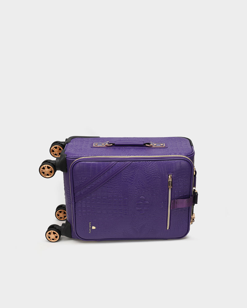 Apollo 2-Piece Luggage Set - 20
