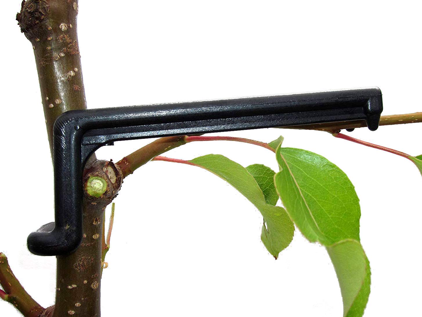 Premium Fruit Tree Limb Spreader - Strengthen Apple & Fruit Tree Branches | 25-Pack | German-Made | Perfect for Orchard Training & Home Garden Pruning