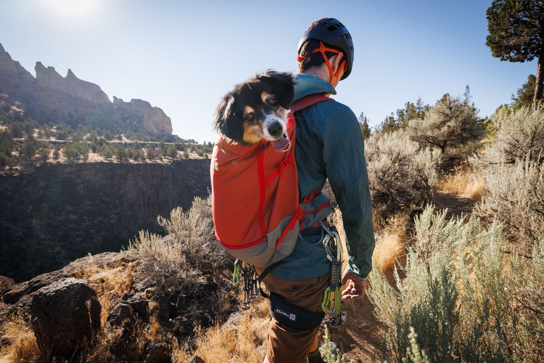 Ruffwear® Hitch Hiker™ Technical Dog Carrier Backpack - Basalt Gray | Durable Pet Hiking & Travel Backpack for Outdoor Adventures