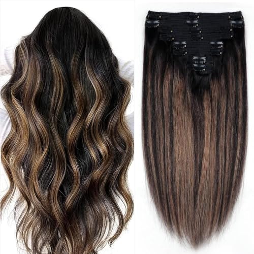#1B/6/1B Natural Black to Chestnut Brown