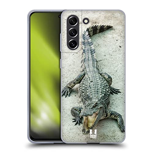 Open-Mouthed Crocodile