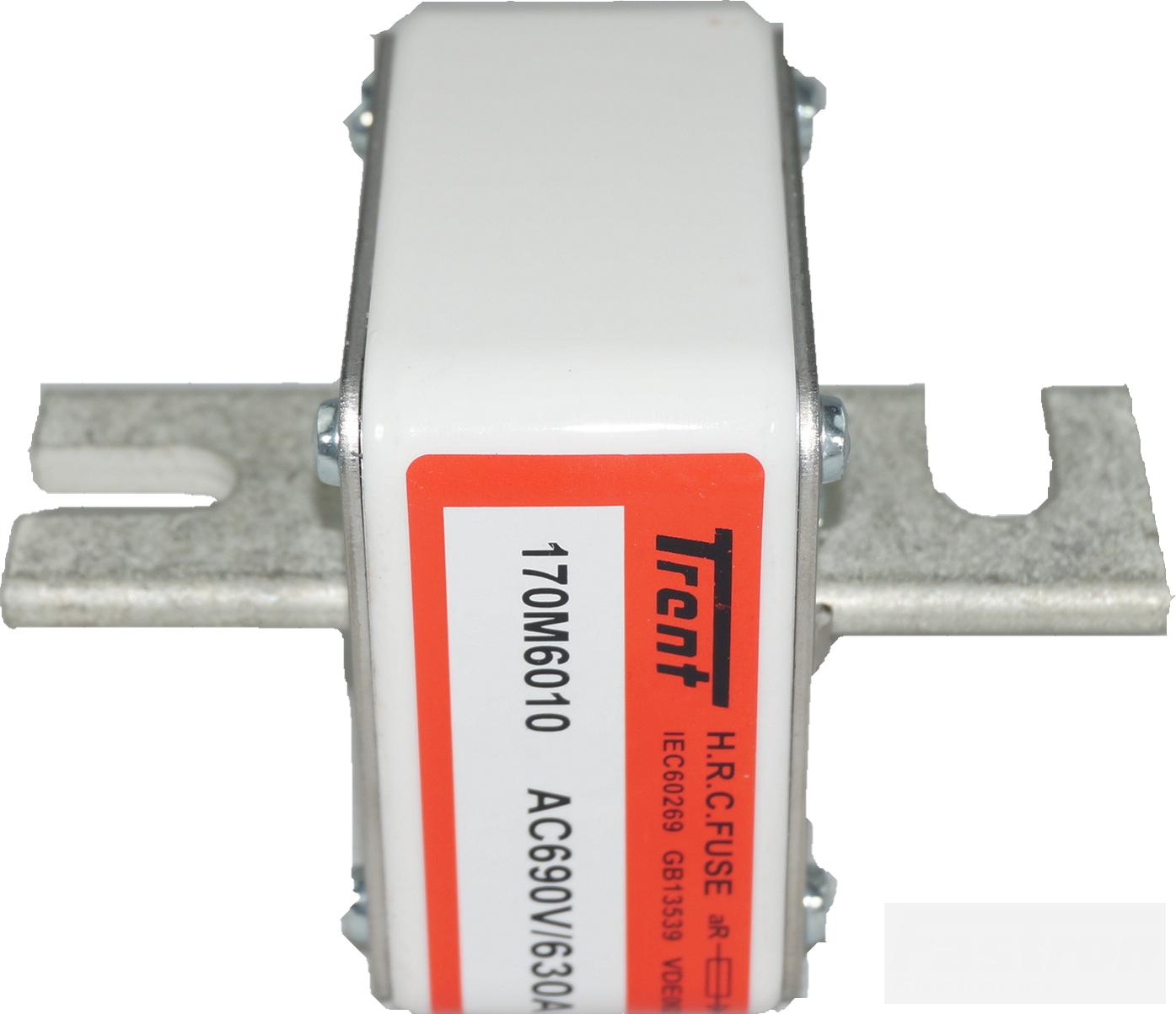 F170M6013 Semiconductor Fuse 900Amp 690VAC Square Body DIN 43653 200kA - High Voltage Protection for Industrial Equipment, Power Electronics & Renewable Energy Systems