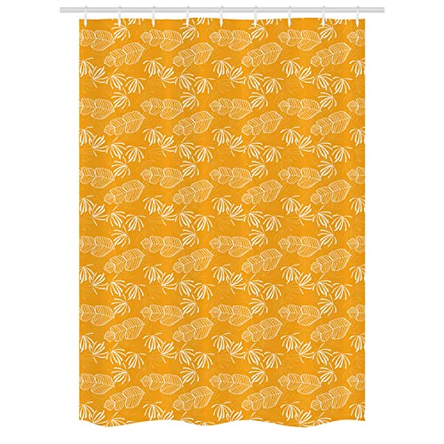 Orange and White