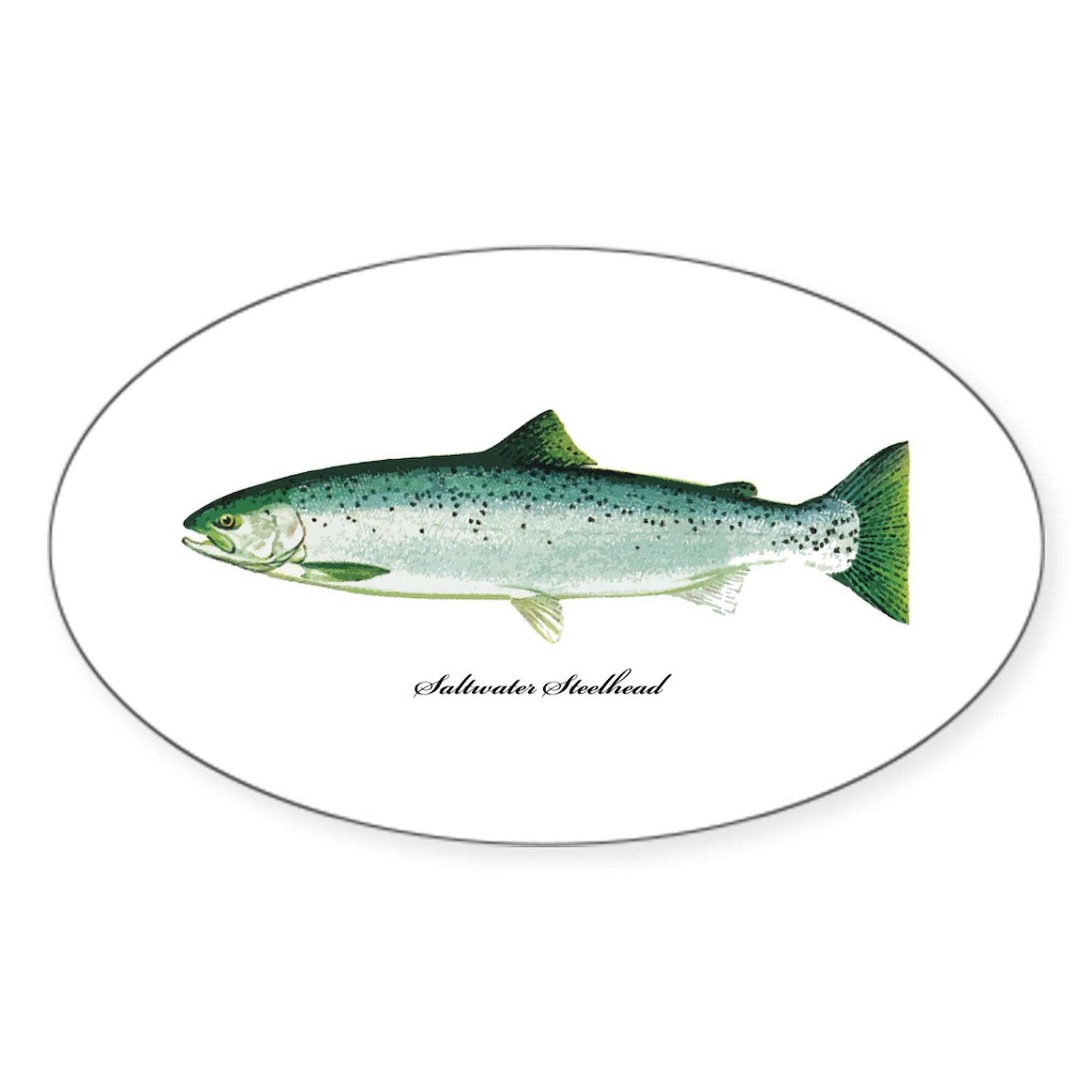 Wild Saltwater Steelhead Fish Oval Sticker - Durable Vinyl Bumper Decal for Cars, Trucks & Laptops - Perfect for Fishing Enthusiasts & Outdoor Adventures