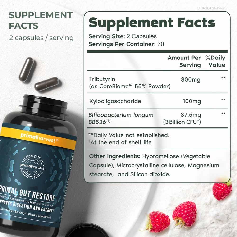 Primal Harvest Probiotics & Gut Health Supplements for Women and Men - 31 Billion CFU Prebiotics & Probiotics Blend with Digestive Enzymes - Supports Gut Restoration, Immune System & Digestive Health - Perfect for Daily Wellness Routine & Travel