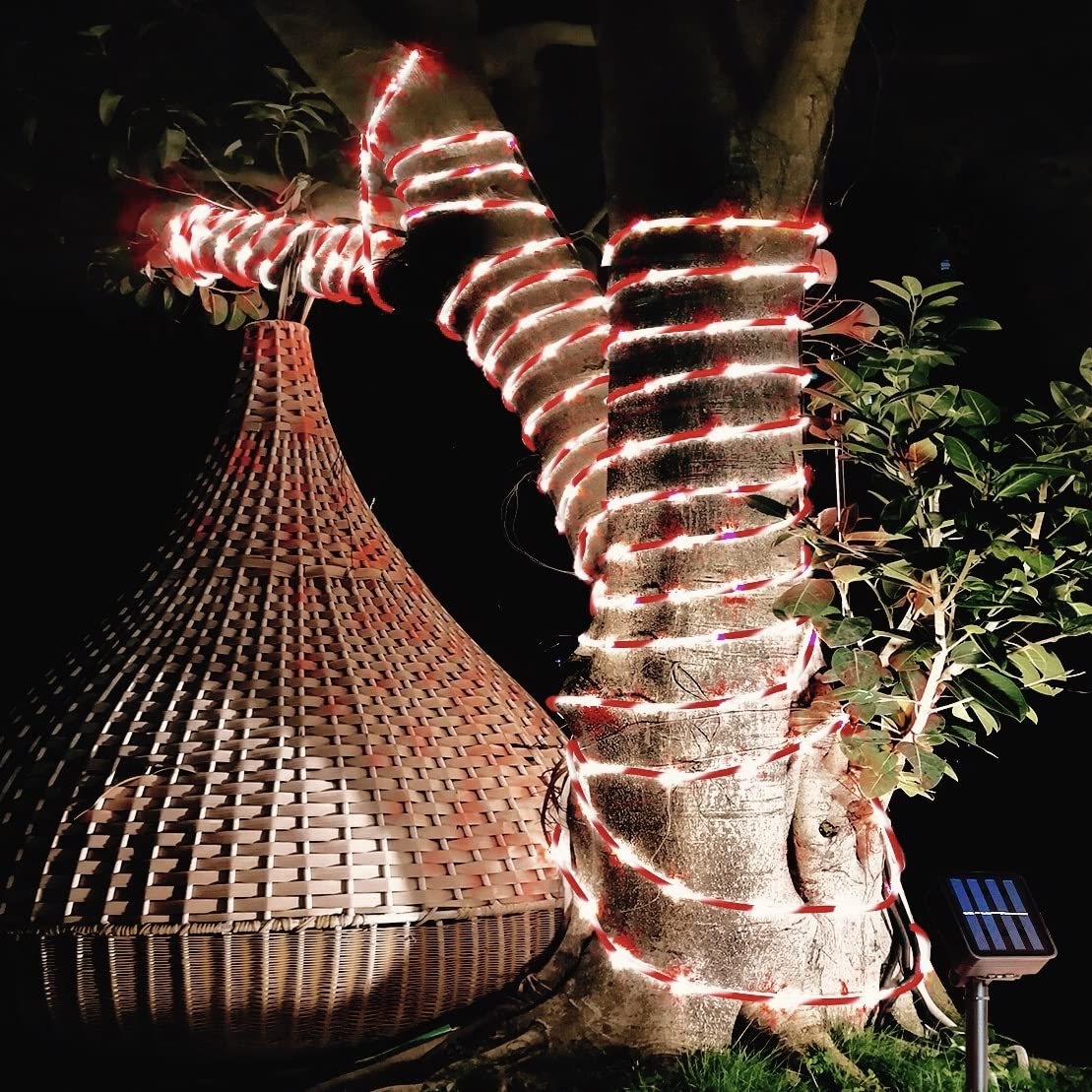 Upgraded 33ft 100 LED Solar Christmas Lights - Waterproof Outdoor String Lights for Holiday Decorations, Garden, Patio, Party & Fairy Lighting (Y-H-TY-TG) | Perfect for Christmas Tree, Yard, Fence, Roof & Window Decorations