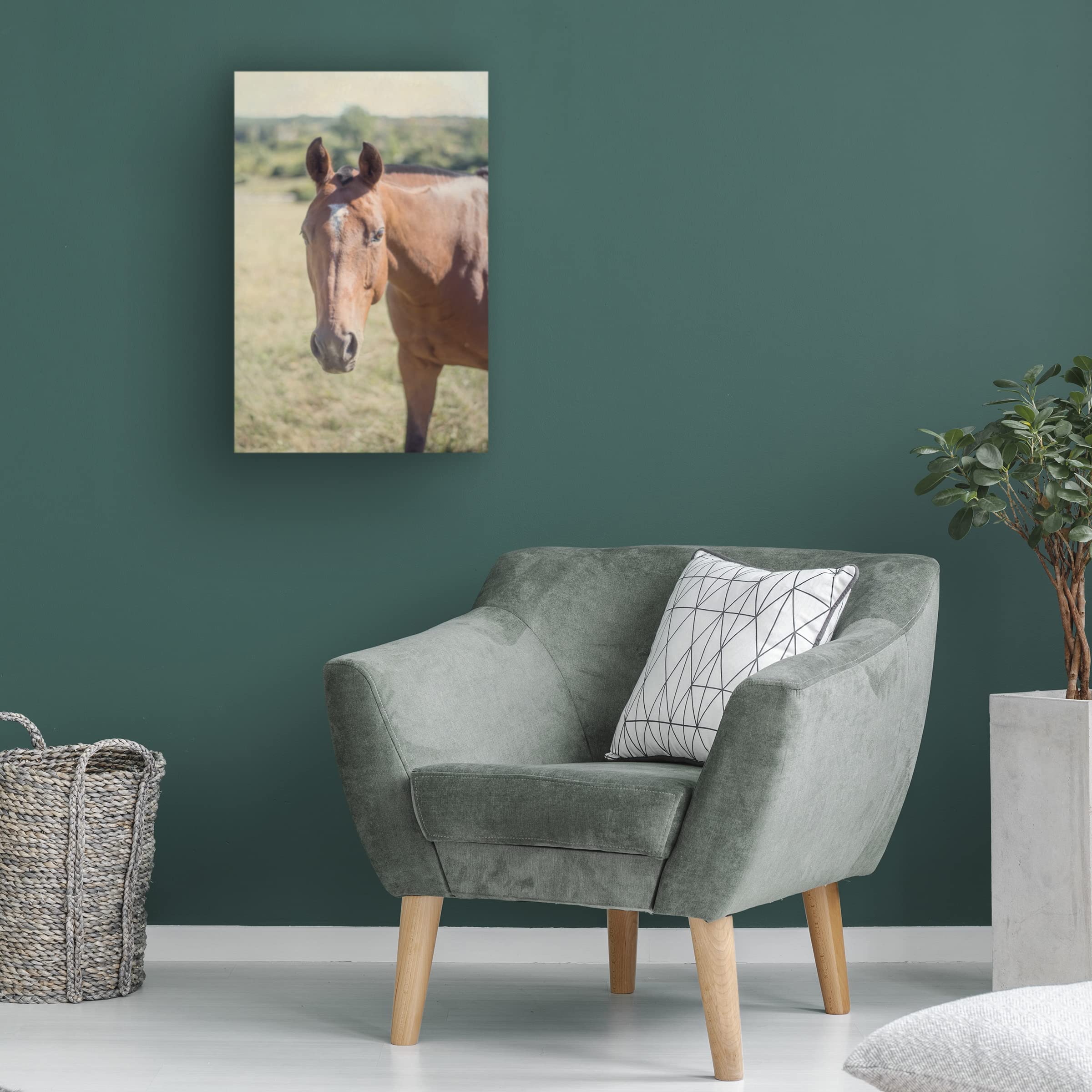 Trademark Fine Art 'Polo Pony II' by Elizabeth Urquhart - Premium Canvas Wall Art for Living Room, Bedroom & Office Decor