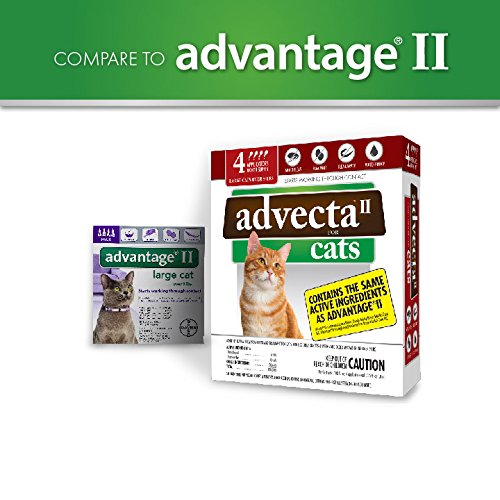 Advecta II Flea Treatment for Cats Over 9 lbs - 4 Month Supply | Fast-Acting Flea Prevention & Control for Indoor & Outdoor Cats