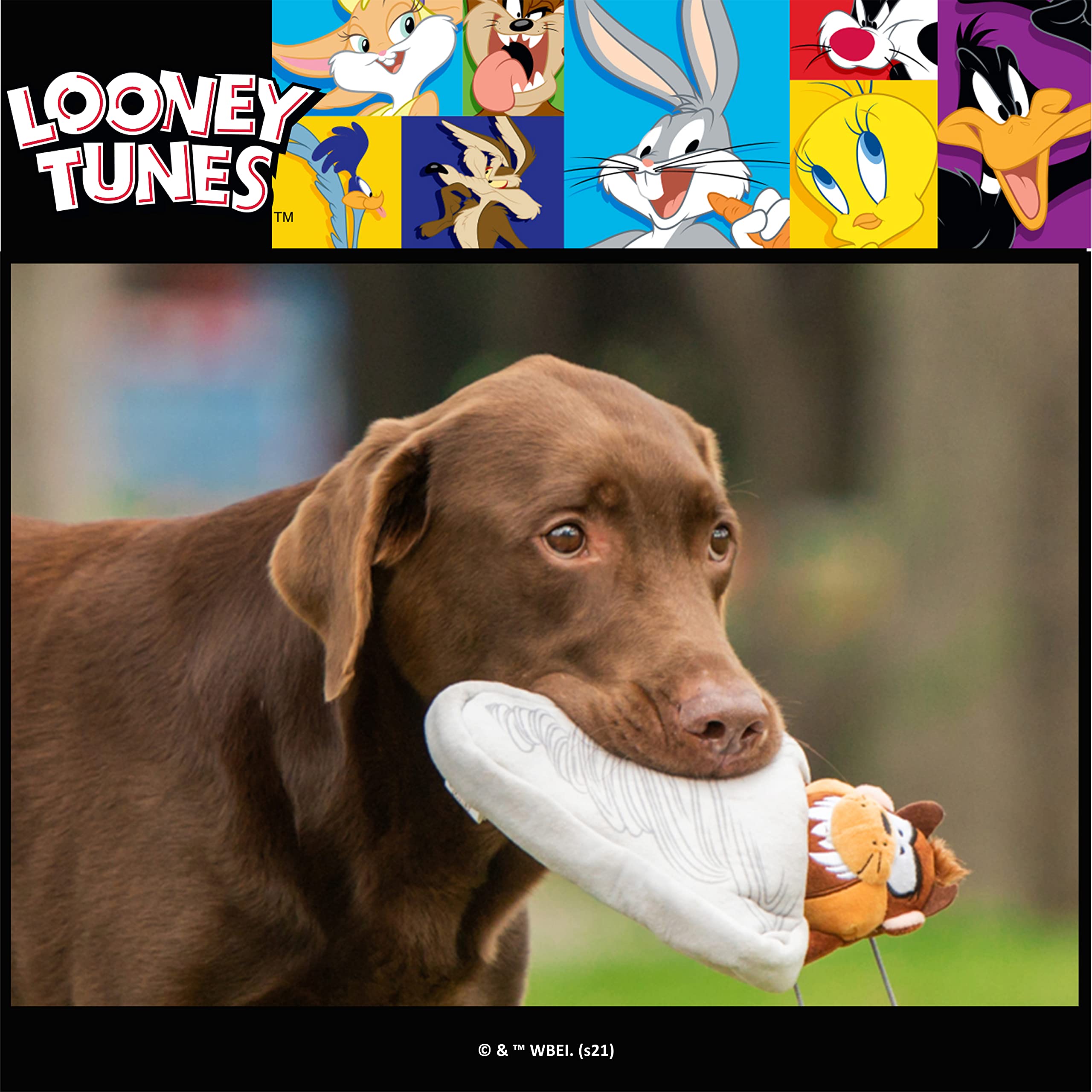 Looney Tunes Taz the Tasmanian Devil Plush Dog Toy - Interactive Hide & Seek Fabric Toy for Small, Medium & Large Dogs | Soft Brown, Tan & Grey Chew Toy for Playtime & Training | Perfect for Indoor & Outdoor Fun