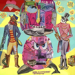 Bill Callahan - Woke on a Whaleheart Vinyl LP Record | Indie Folk Music Album for Collectors & Audiophiles | Perfect for Home Listening & Vinyl Enthusiasts