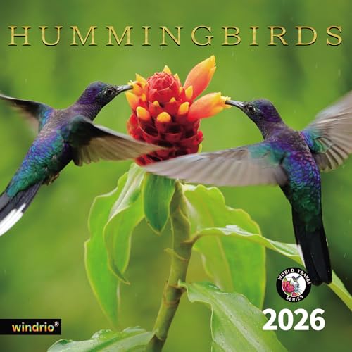 Hummingbirds 3