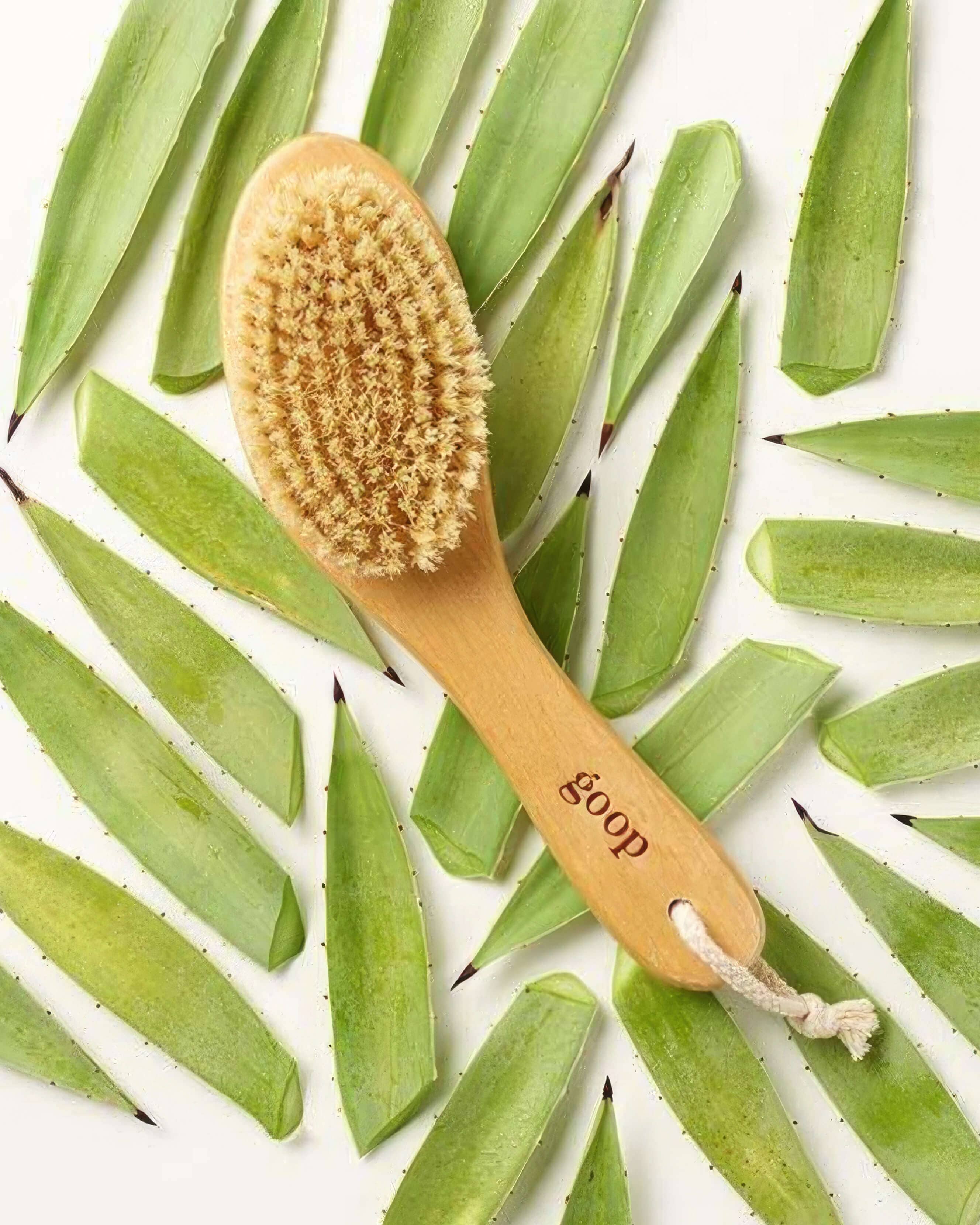 G.Tox Ultimate Dry Brush for Body Exfoliation & Lymphatic Drainage - Natural Bristle Skin Brush for Cellulite Reduction & Detox - Perfect for Dry Brushing Routine & Spa Day at Home