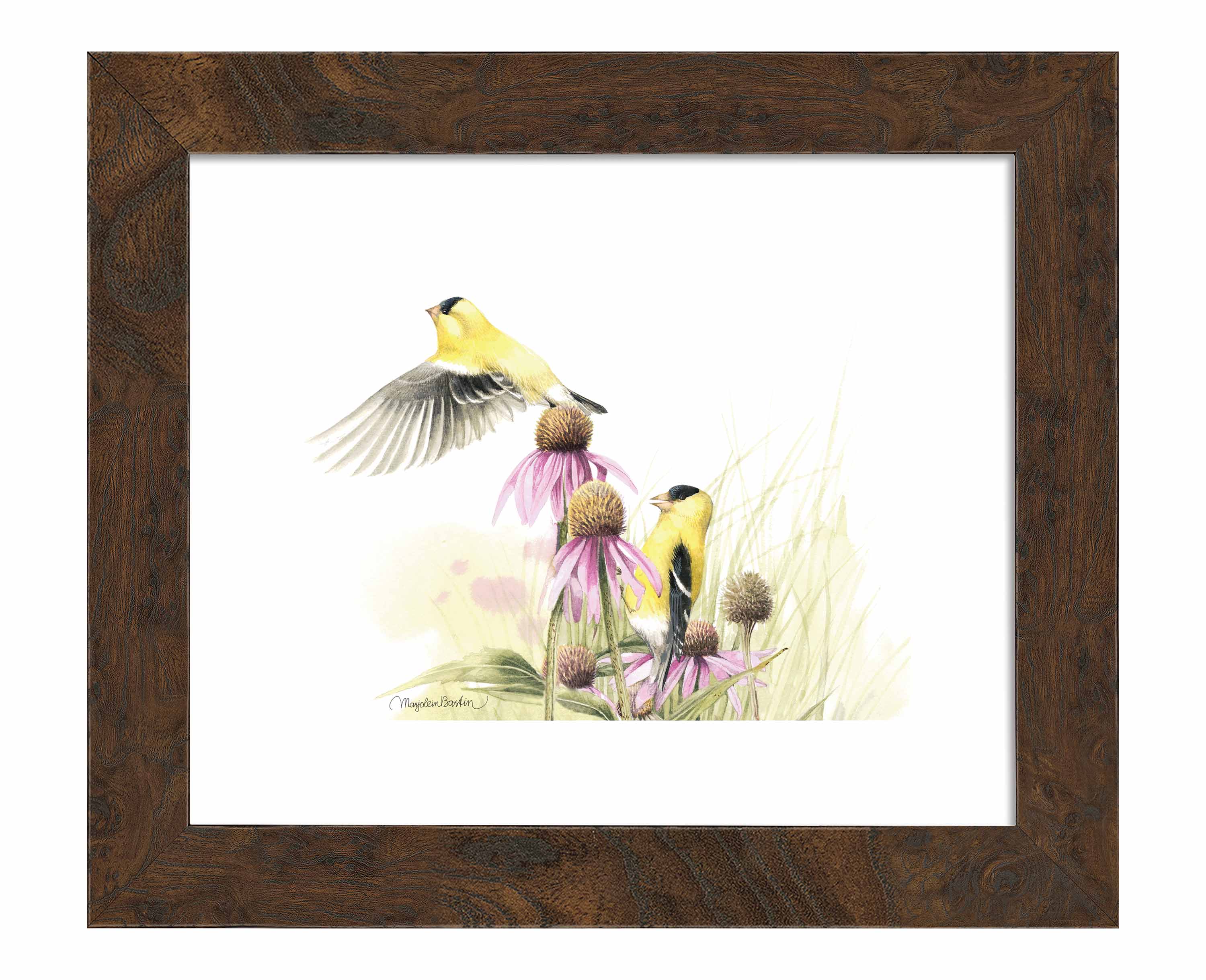 Vibrant Coneflower Feast Art Prints - Botanical Wall Decor for Home, Office & Gifts | Nature-Inspired Floral Artwork