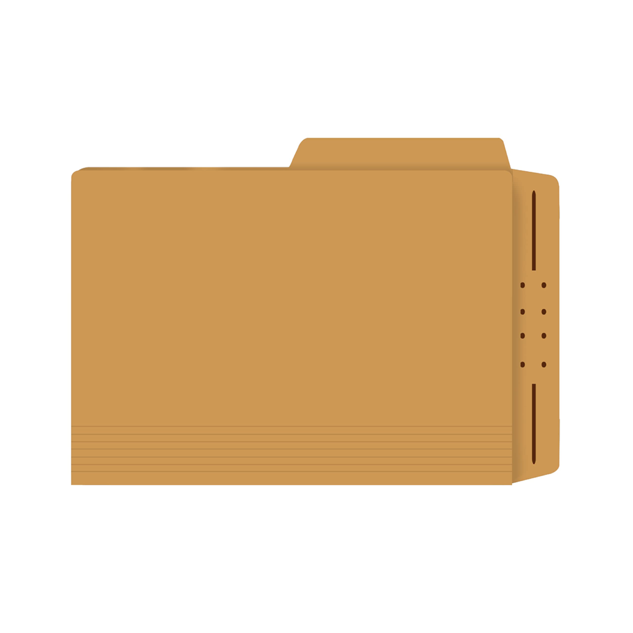 Goldenrod Casebinder File Folders - 2