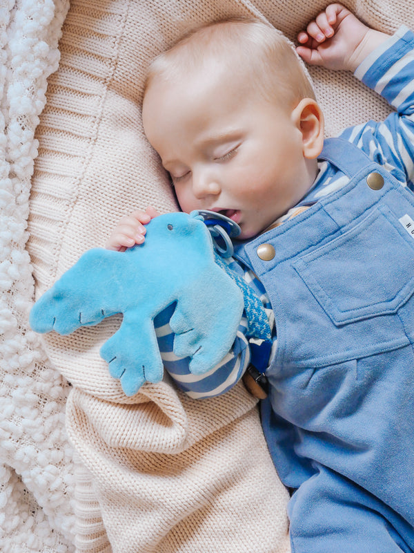 Crinkle Scrunch Sensory Toy for Kids - Soft Bird Design for Autism, ADHD & Stress Relief - Perfect for Sensory Play, Therapy & Relaxation at Home or School