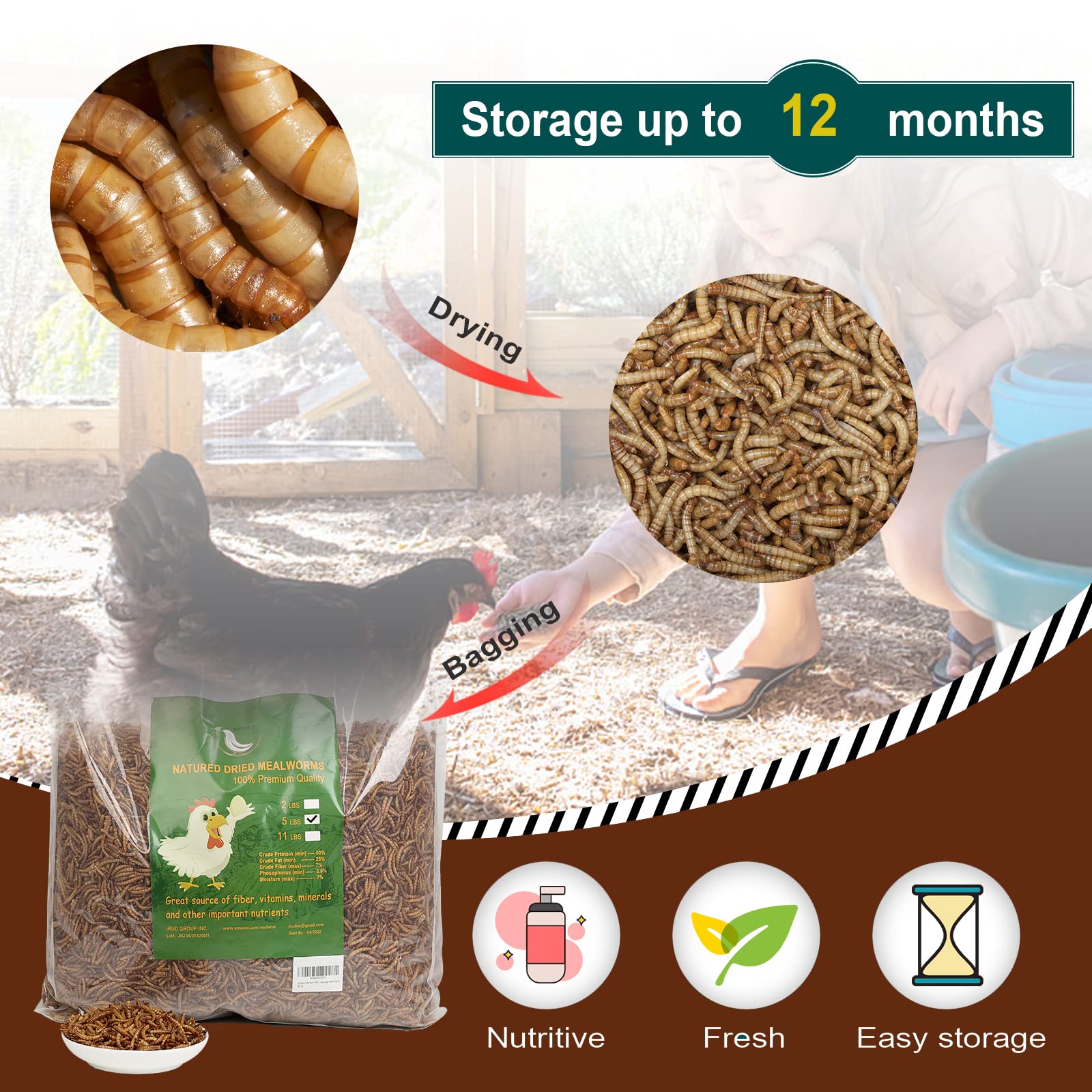Non-GMO High-Protein Dried Mealworms 44LB - All-Natural Chicken Feed, Duck Food & Wild Bird Treats | Perfect for Poultry, Reptiles, Amphibians & Fish | Ideal for Backyard Chickens, Pet Nutrition & Wildlife Feeding