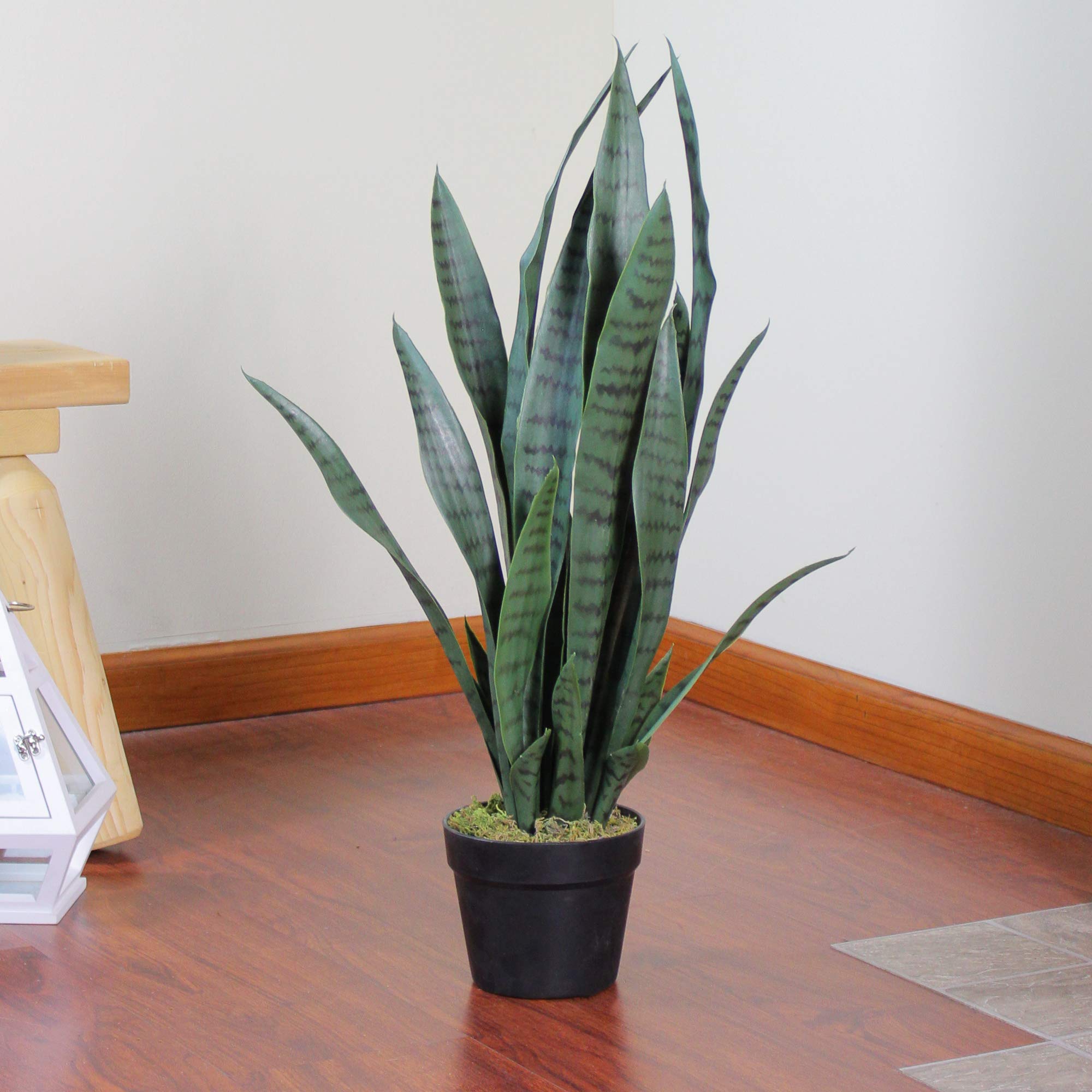 Real Touch™ Artificial Two Tone Potted Snake Plant - 29