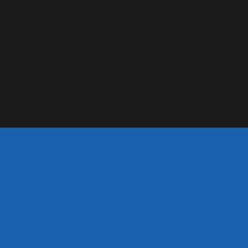 Black/Blue